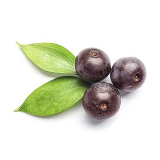 acai oil tile