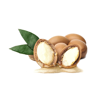 argan oil tile
