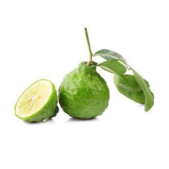 bergamot oil tile