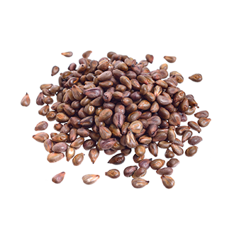 grapeseed oil tile