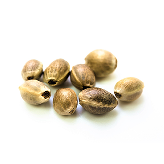 hemp oil tile
