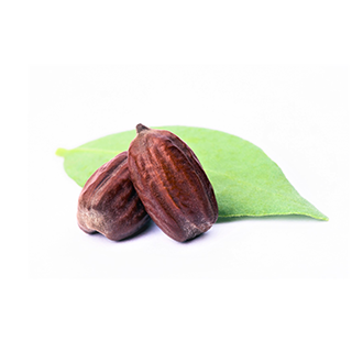 jojoba oil tile