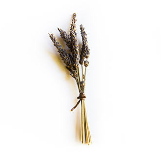 lavender oil tile