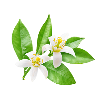 neroli oil tile